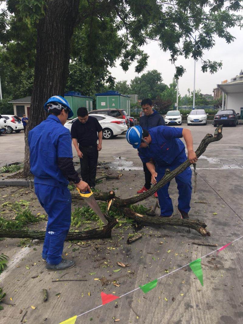 1525924116797412.jpg 1.jpg