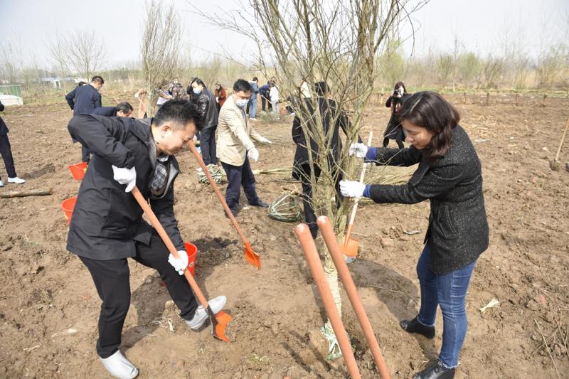 1615886655848350.jpg 2.jpg